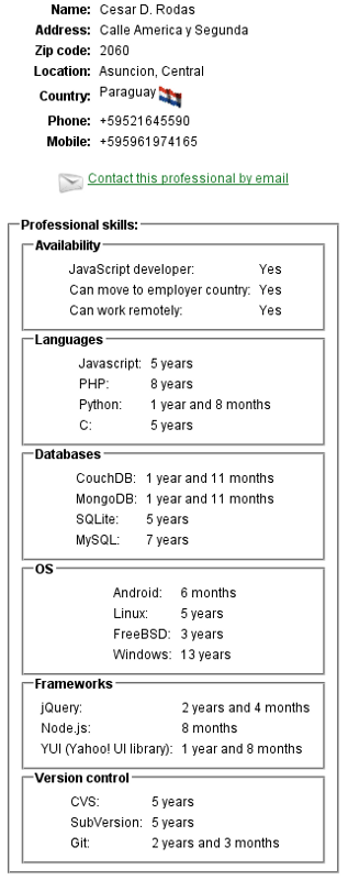 JavaScript professional profile page